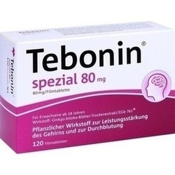 Abbildung klein von Tebonin Spezial 80mg