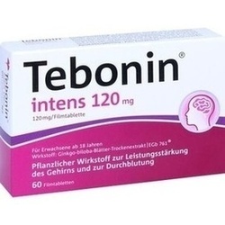 Abbildung klein von Tebonin Intens 120mg