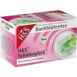 Abbildung von H&s Bachblüten Schülerglück-tee Filterbeutel