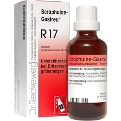 Abbildung klein von Scrophulae-Gastreu R17