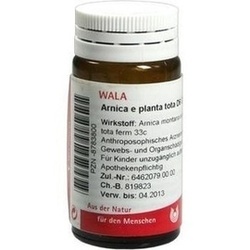 Abbildung von Arnica E Planta Tota D 6 Globuli