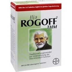 Abbildung klein von Ilja Rogoff Thm