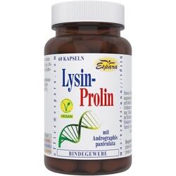 Abbildung klein von Lysin Prolin