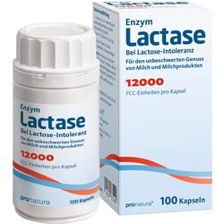 Abbildung klein von Lactase 12000 Fcc Kapseln