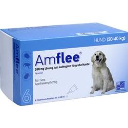 Abbildung klein von Amflee 268mg Spot-On Gr. Hund 20-40 Kg (l)