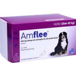 Abbildung klein von Amflee 402mg Spot-On Sehr Gr. Hund 40-60 Kg (xl)