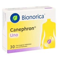 Abbildung von Canephron Uno Tabletten