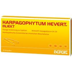 Abbildung klein von Harpagophytum Hevert Injekt