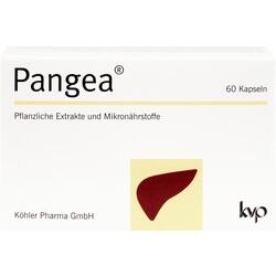 Abbildung klein von Pangea