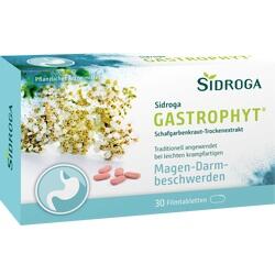 Abbildung klein von Sidroga Gastrophyt 250 Mg Filmtabletten