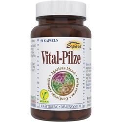 Abbildung klein von Vital-Pilze