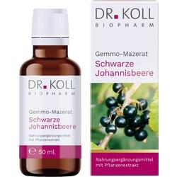 Abbildung klein von Gemmo-Mazerat Schwarze Johannisbeere Dr.Koll Ribes