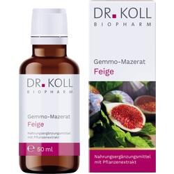 Abbildung klein von Gemmo-Mazerat Feige Dr. Koll Ficus Carica