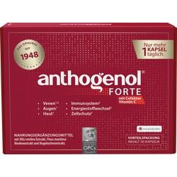 Abbildung klein von Anthogenol Forte Masquelier Original Opc