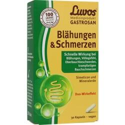 Abbildung klein von Luvos Gastrosan Blähungen & Schmerzen