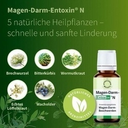 Abbildung klein von Magen Darm Entoxin N
