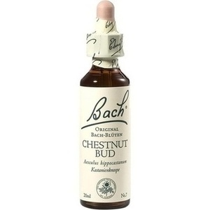 Bachblüten Chestnut Bud Tropfen, 20ml