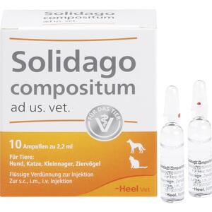 SOLIDAGO COMPOSITUM ad us.vet. Ampullen (PZN: 01219864) - Natürliche Unterstützung für die Tiergesundheit