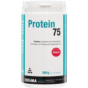 PROTEIN 75 ERDBEER