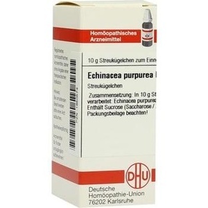 ECHINACEA PURPUREA D 12 Globuli