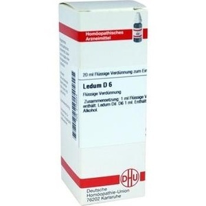 LEDUM D 6 Dilution
