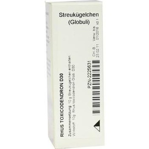 Rhus Toxicodendron D30 Globuli