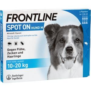 zecken flohmittel bei hunden wolfs apotheke bredstedt