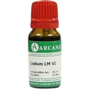 LEDUM LM 6 Dilution