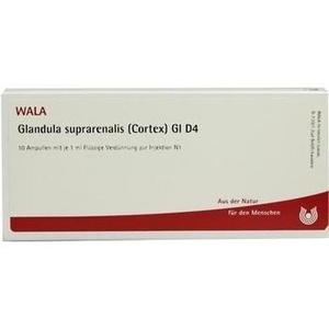 GLANDULA SUPRARENALIS cortex GL D 4 Ampullen