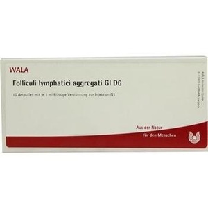 FOLLICULI LYMPHATICI aggregati GL D 6 Ampullen