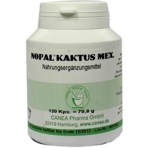 Nopal-Kaktus Mex.