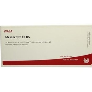 Mesenchym Gl D 5