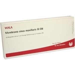 Membrana Sinus Maxi Gl D 8