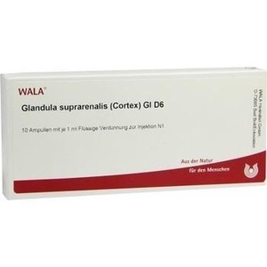GLANDULA SUPRARENALES cortex GL D 6 Ampullen