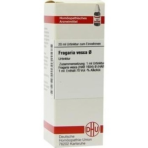FRAGARIA VESCA Urtinktur