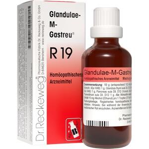 Glandulae-M-Gastreu R19