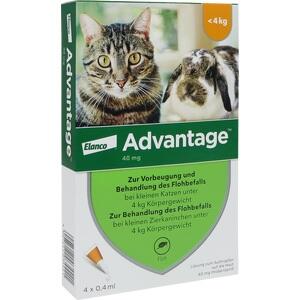 ADVANTAGE 40 mg Lösung für kleine Katzen und Zierkaninchen (PZN: 09670096) - Effektiver Flohschutz und Prävention für Ihre Haustiere.