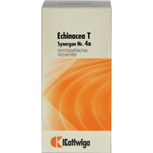 SYNERGON KOMPLEX 4a Echinacea T Tabletten