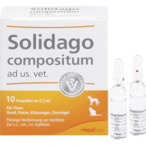 SOLIDAGO COMPOSITUM ad us.vet.Ampullen