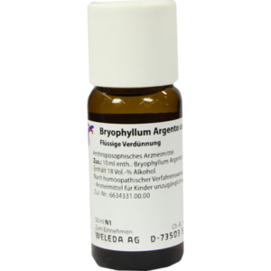 BRYOPHYLLUM ARGENTO cultum D 3 Dilution