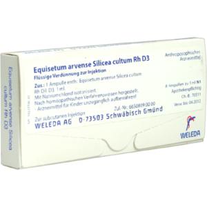 EQUISETUM ARVENSE Silicea cultum D 3 Ampullen