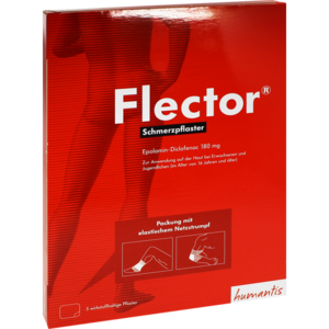FLECTOR Schmerzpflaster+elatischer Netzstrumpf