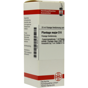 PLANTAGO MAJOR D 6 Dilution