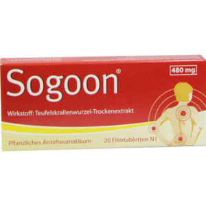 SOGOON 480 mg Filmtabletten