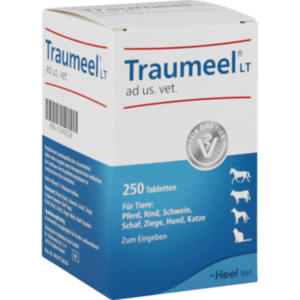 TRAUMEEL LT ad us.vet.Tabletten