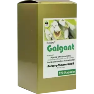 Galgant