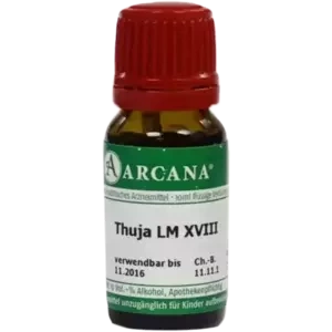 THUJA ARCA LM 18