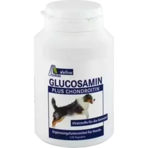 Glucosamin+Chondroitin Kapseln für Hunde