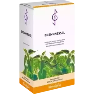 Brennnessel