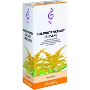 Goldrutenkraut (Riesen)